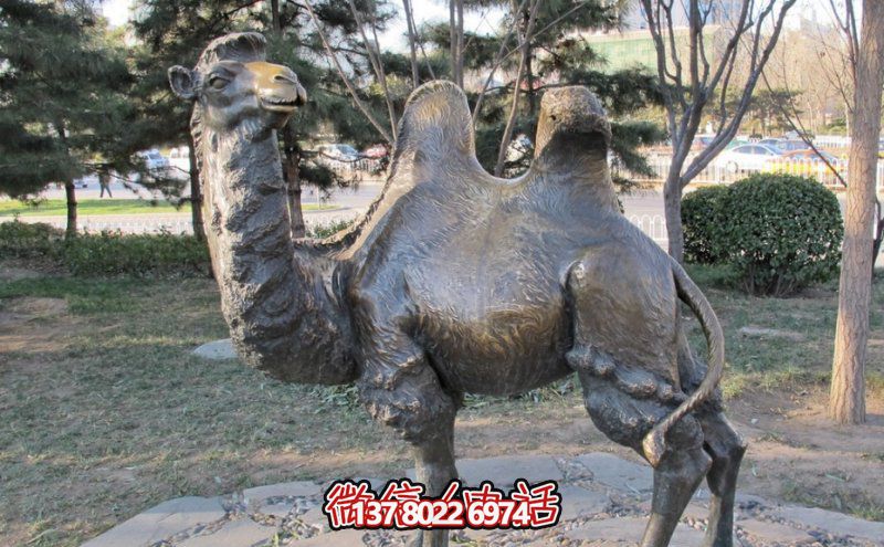 創(chuàng)意大型玻璃鋼駱駝雕塑，在草地上擺放，一眼回頭